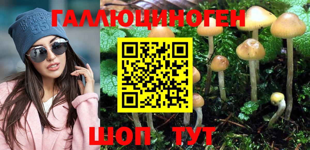 Галлюциногенные грибы GOLDEN TEACHER Можга