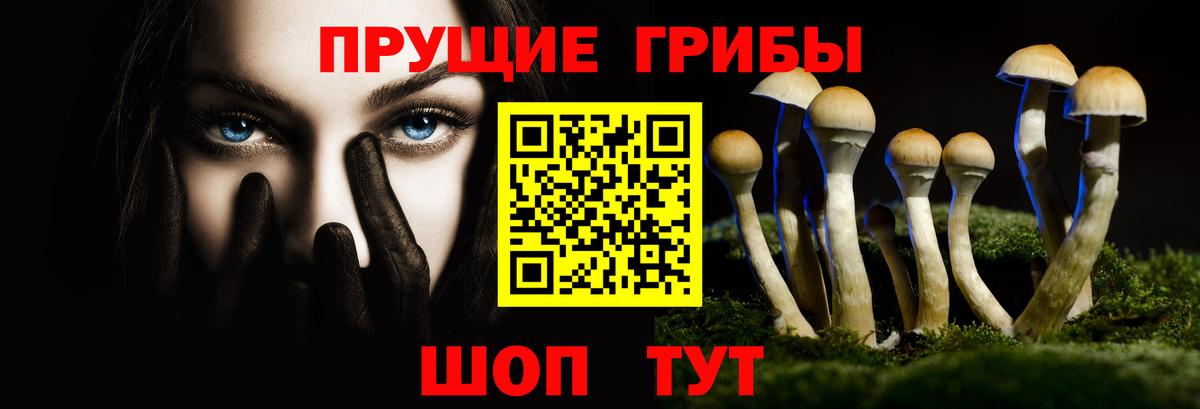 Псилоцибиновые грибы мицелий  Вход с VPN  Можга 